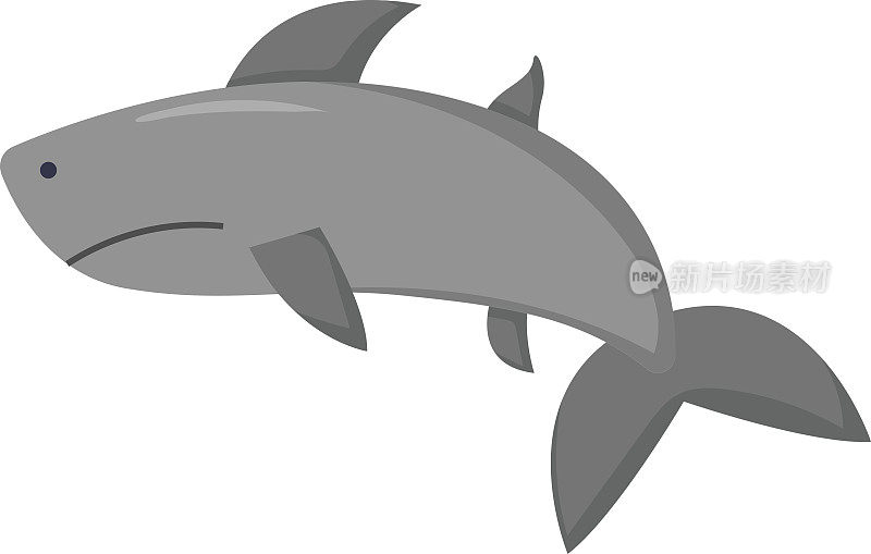 矢量动画鲨鱼