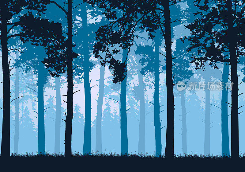 矢量插图的针叶林与树木和草，在蓝天下