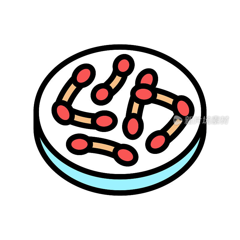 白喉棒状杆菌颜色图标矢量插图