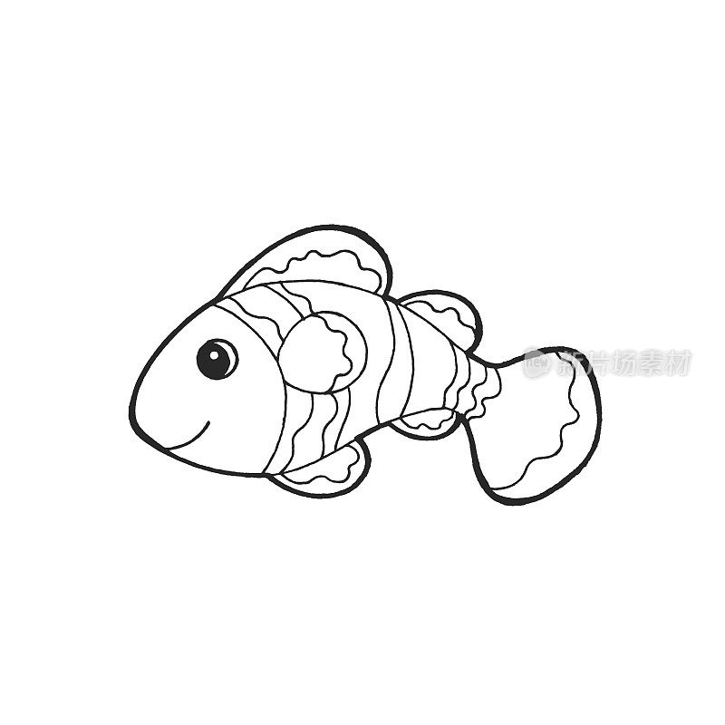 Ocellaris小丑鱼动物鱼自然艺术手绘插图设计素描涂鸦黑色白色卡通