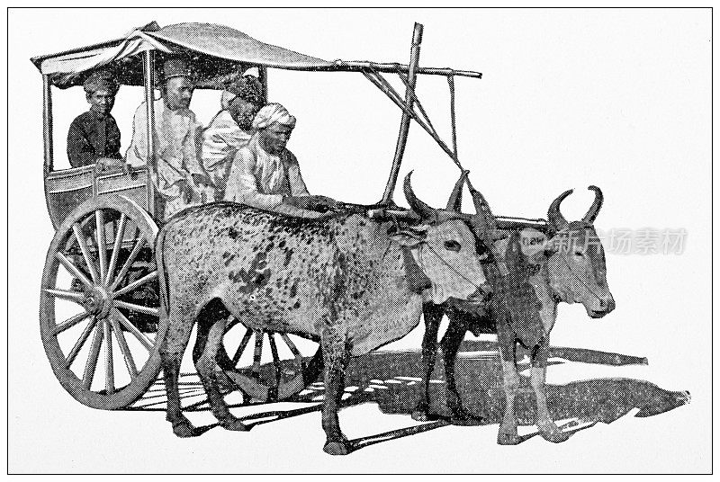印度古玩旅行摄影:加尔各答的交通