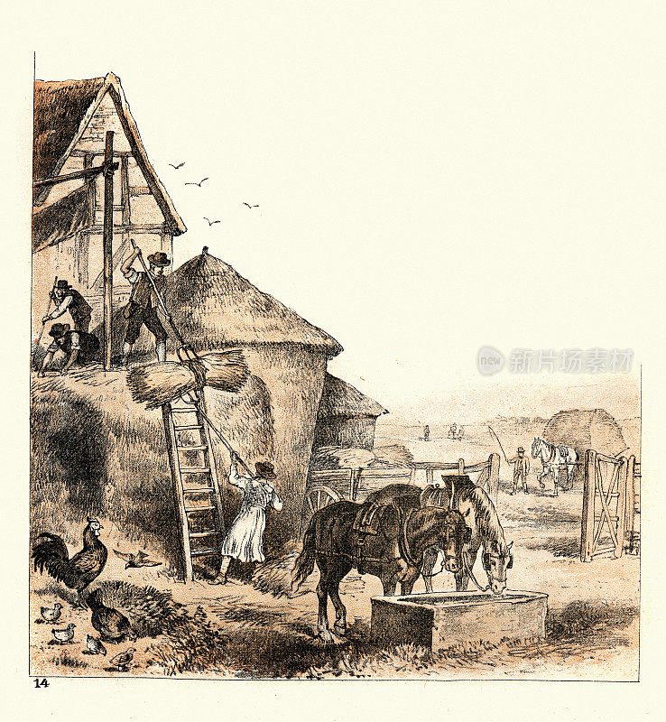 19世纪，维多利亚时代的农场工人在建造干草垛