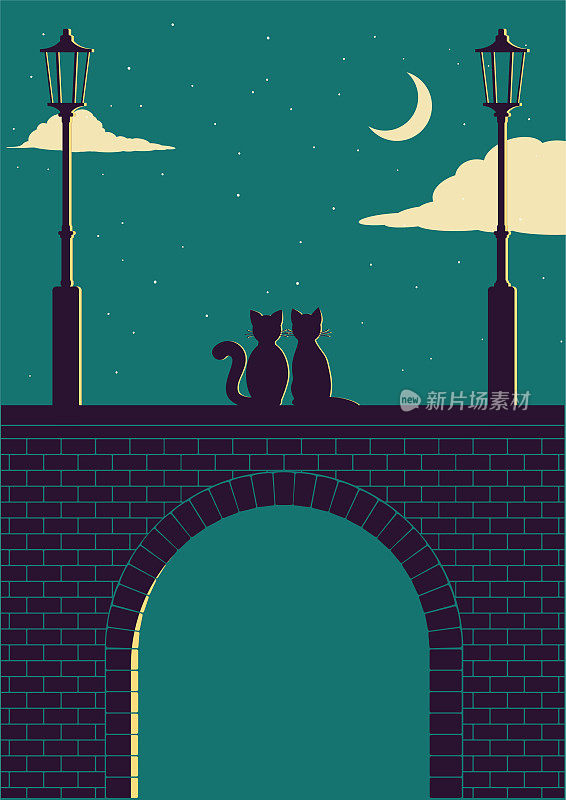 两只猫在夜晚的石桥上