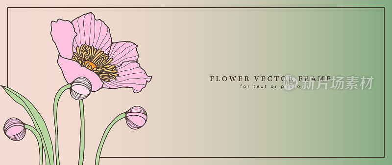 矢量精致的花框架文字或照片与一个大的粉红色的花，芽和叶子。背景装饰，封面，明信片，名片