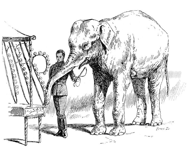 《动物驯服的奇迹》，贝尔扮演大象