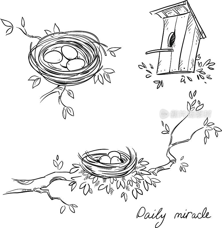 手绘的鸟巢和鸟笼