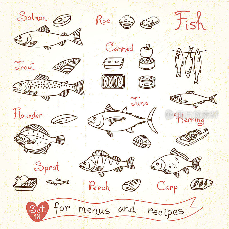 设置鱼的图纸，设计菜单，食谱和包装