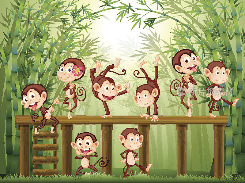 竹林里猴子的场景