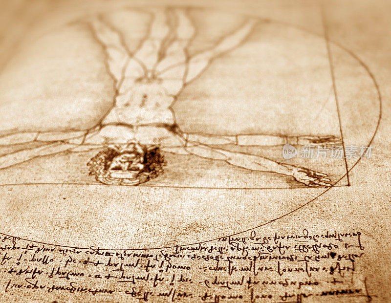 莱昂纳多·达·芬奇解剖艺术特写
