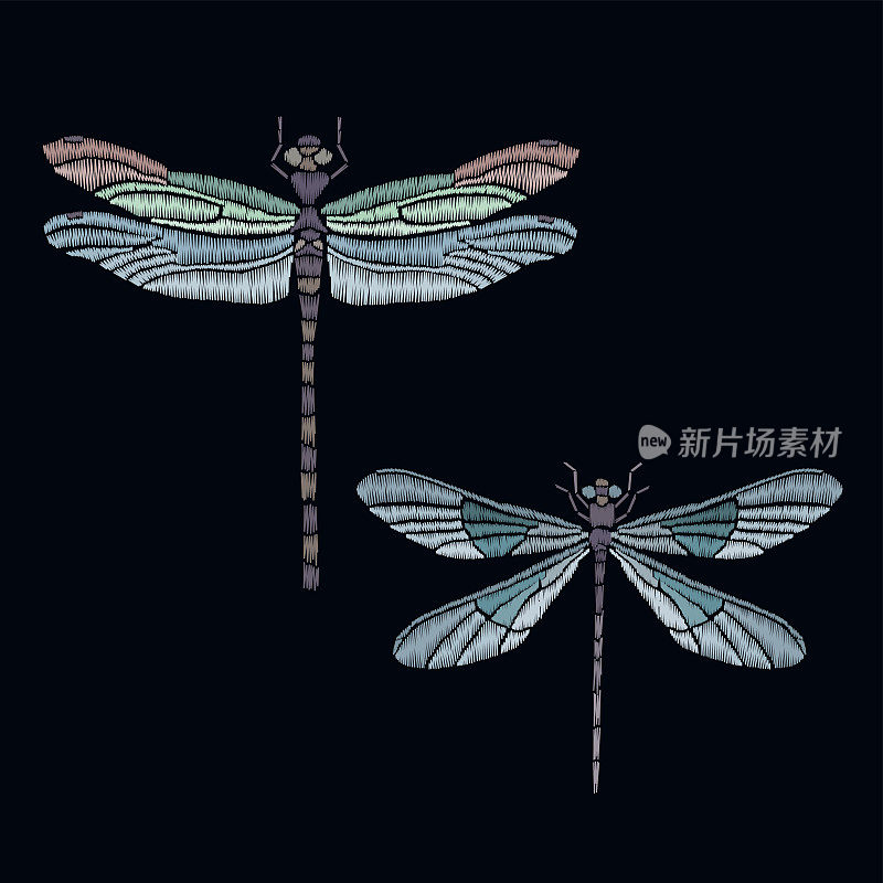 矢量复古蜻蜓或蝴蝶，装饰元素的刺绣，补丁和贴纸