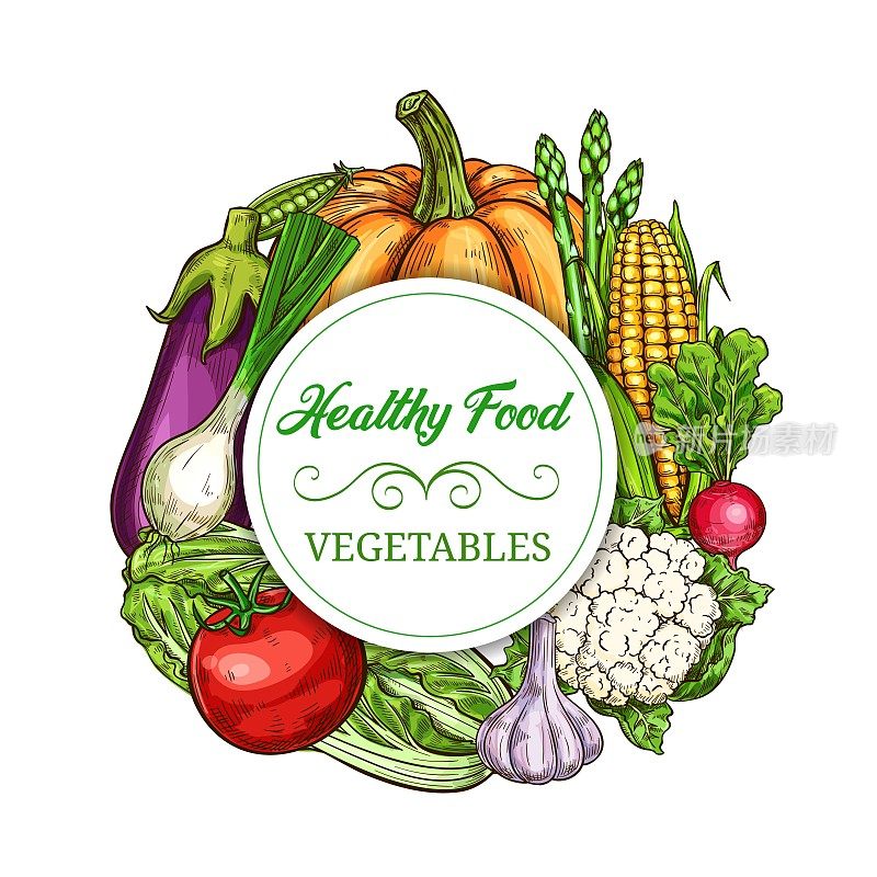 健康蔬菜和绿色蔬菜素描横幅