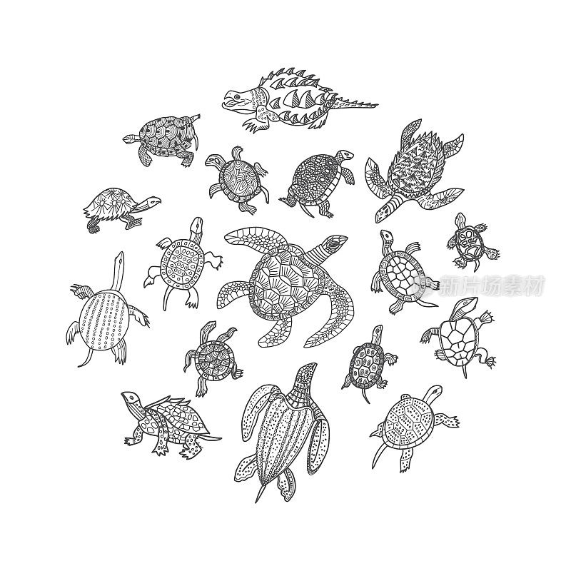 海龟涂鸦集