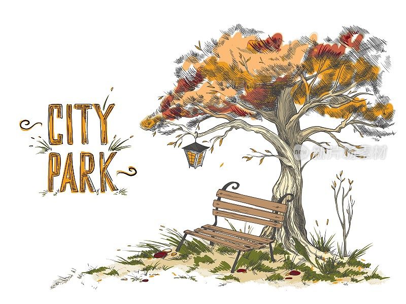 秋天公园或花园中挂着灯笼的冠树下的空板凳。