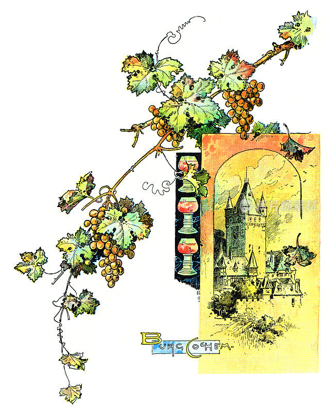 设计元素装饰葡萄酒葡萄和树叶与1897年德国科赫姆城堡画