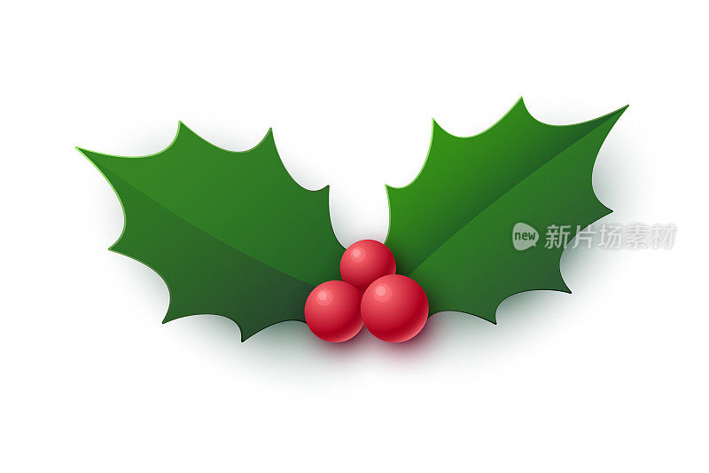 现实的冬青浆果图标。圣诞节的象征