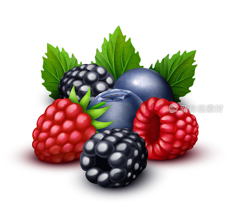 覆盆子，黑莓，蓝莓甜莓混合