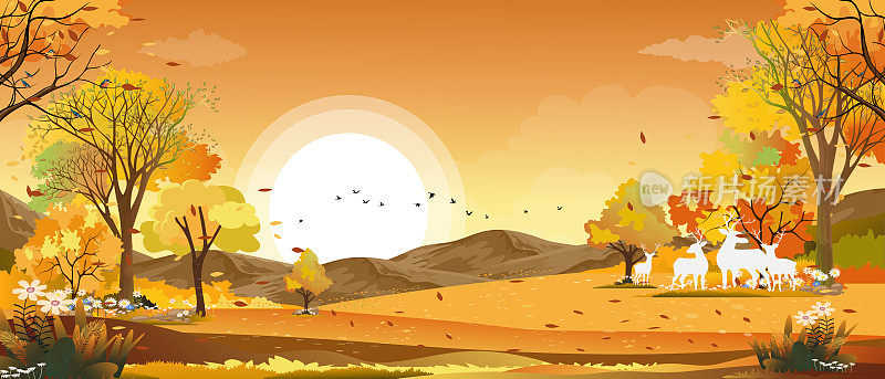 秋日乡村的梦幻全景，在黄色的树叶中，农田、山峦、野草、落叶尽收眼底。秋天的仙境风景