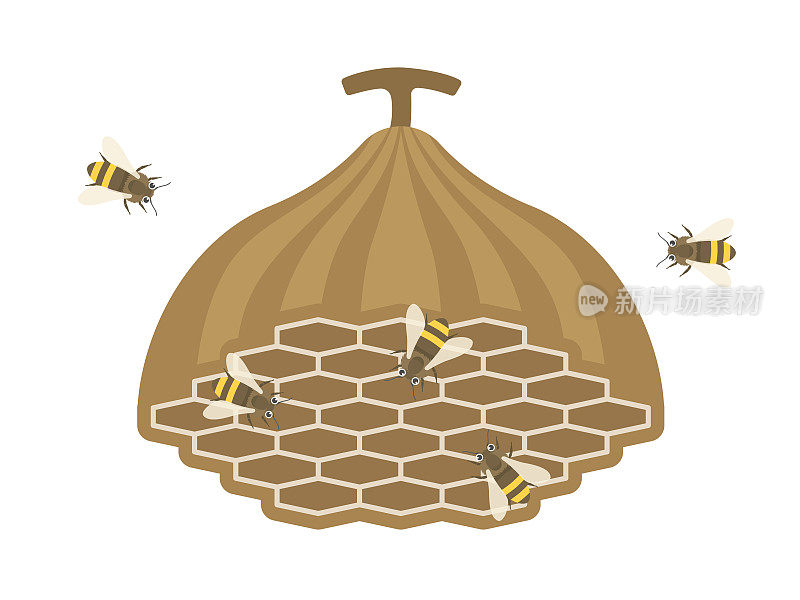 蜜蜂和蜂巢的插图。