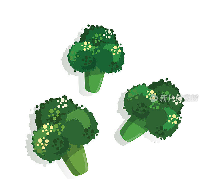 绿色西兰花健康植物矢量插图