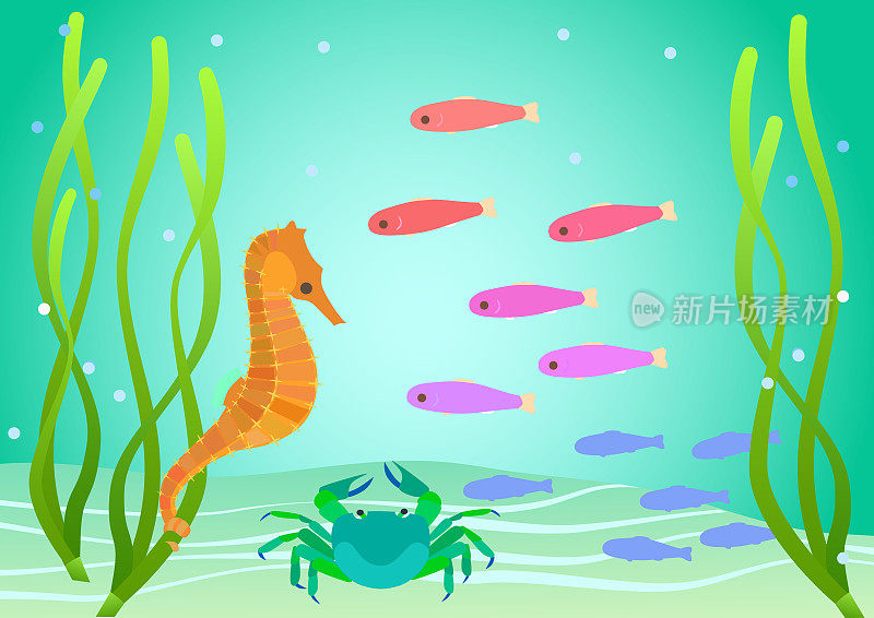 彩色卡通风格的海洋生物生活在鳗草床的插图