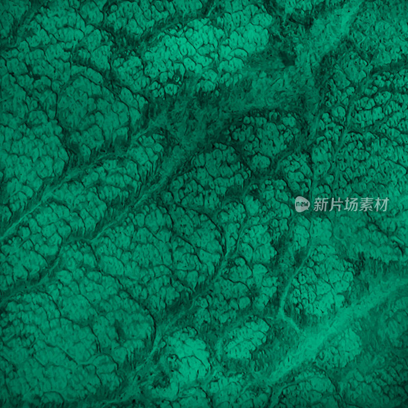 翡翠绿色鳄鱼皮背景，抽象的墙壁纹理。枯燥乏味的向量的背景。全框架水泥表面垃圾纹理背景