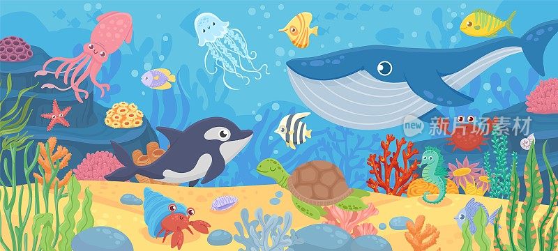 水下海洋生命。海豚，珍奇鱼类，螃蟹，鱿鱼。海底海藻，海龟和海礁动物。卡通向量海景