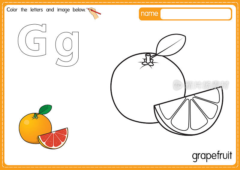 矢量插图的儿童字母着色书页与概述剪贴画，以颜色。字母G代表葡萄柚。
