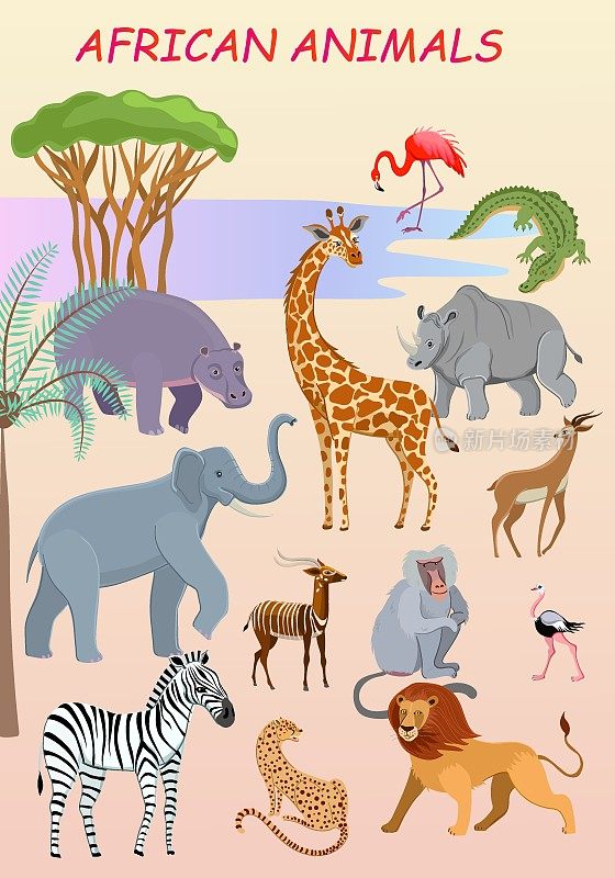 非洲动物海报。长颈鹿，大象，狮子，邦戈，火烈鸟，鳄鱼，狒狒，猎豹，河马，犀牛，鸵鸟，黑斑羚，斑马。矢量插图。
