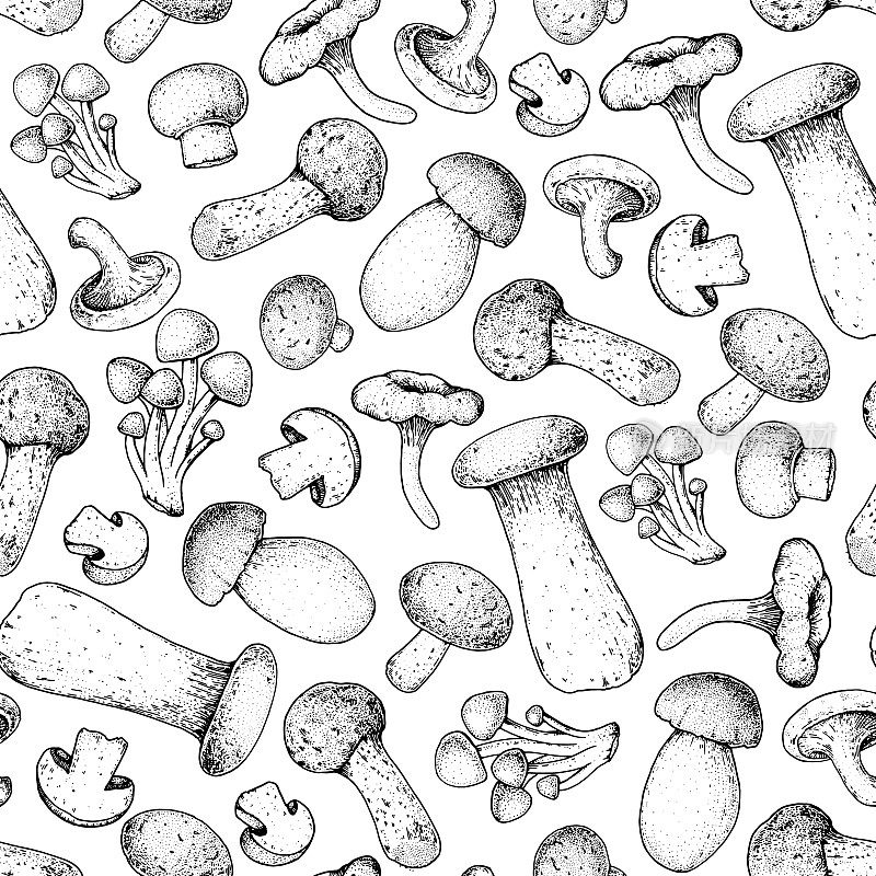 蘑菇无缝模式。手绘草图。各种蘑菇手绘矢量插图。食品的背景。森林蘑菇。黑色和白色