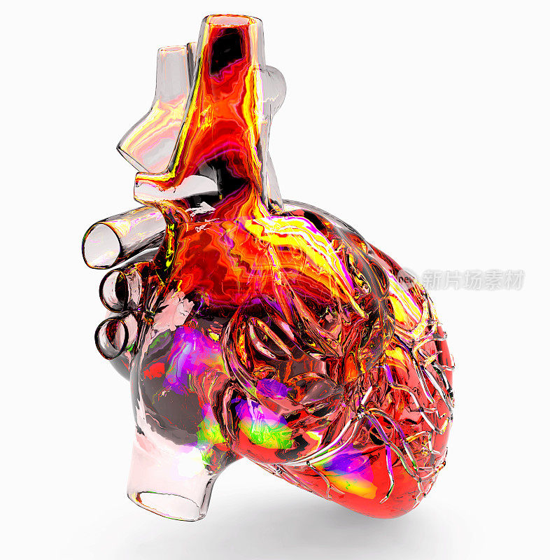 人工心脏模型