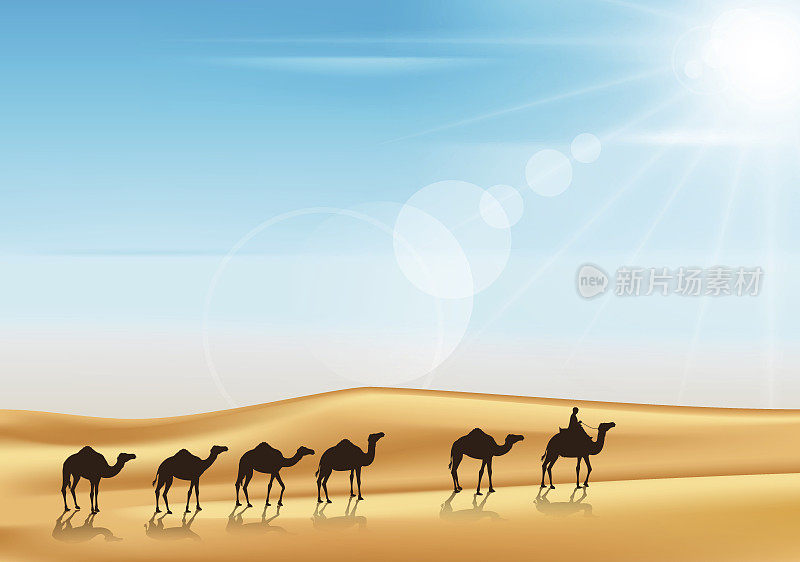 骆驼商队在现实的广阔沙漠中骑马