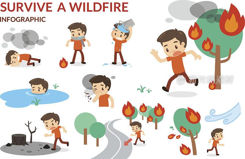 野火生存。森林大火。火灾的危险。