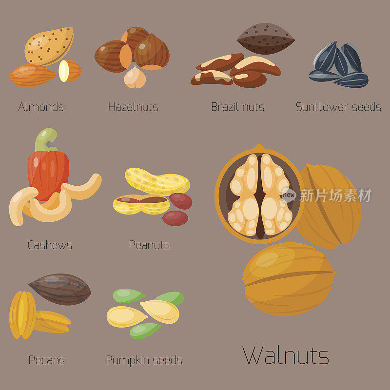 成堆的不同坚果开心果，榛子，杏仁，花生，核桃，腰果，美味的种子矢量插图