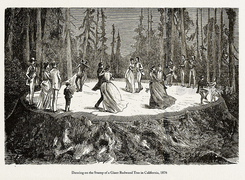 在加州一棵巨型红杉树桩上跳舞(1876年)