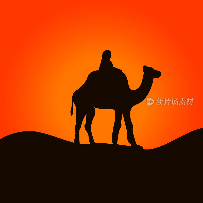 撒哈拉沙漠中的骆驼和骆驼。矢量图