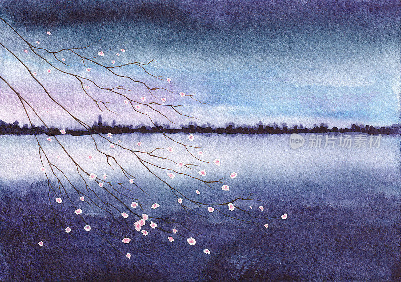 自然景观。盛开的樱花枝以蓝天和湖泊或河流为背景。艺术的春天背景。在纹理纸上画水彩画。
