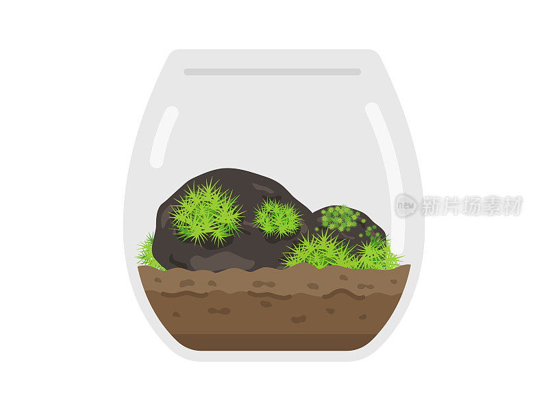 苔藓玻璃容器内部的插图。