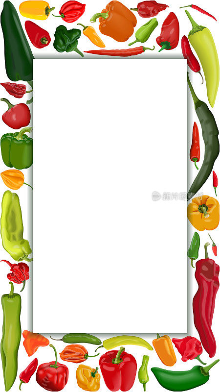 垂直横幅上有不同类型的辣椒。甜辣椒。微辣和中辣辣椒。超级辣的辣椒。蔬菜。矢量插图隔离在白色背景上。模板。