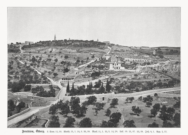 以色列耶路撒冷的橄榄山，半色调印刷，1899年出版