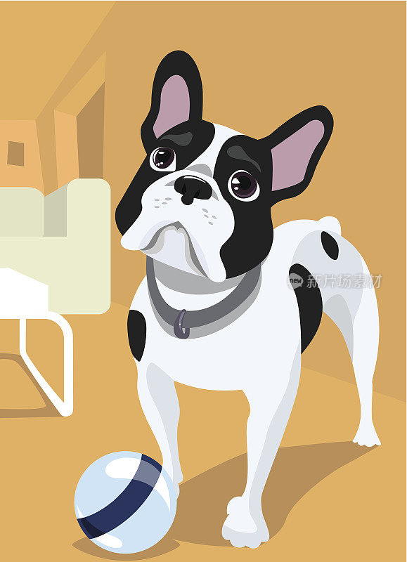 一个可爱的法国牛头犬玩球的插图