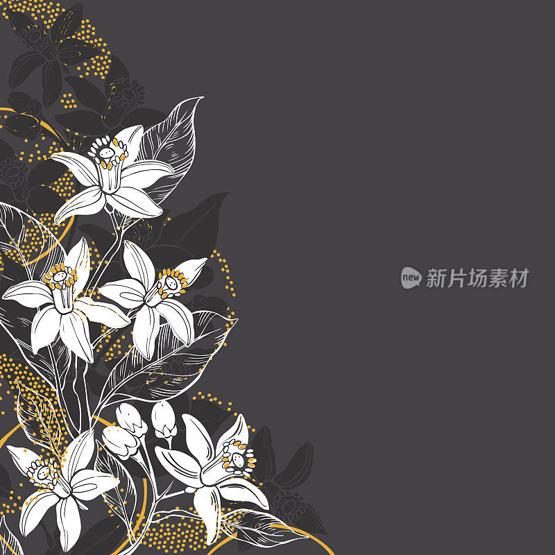 花的背景与手绘的花橙花和桔子的树枝。矢量插图在黑暗的背景与地方文字。邀请，贺卡或您的设计元素。
