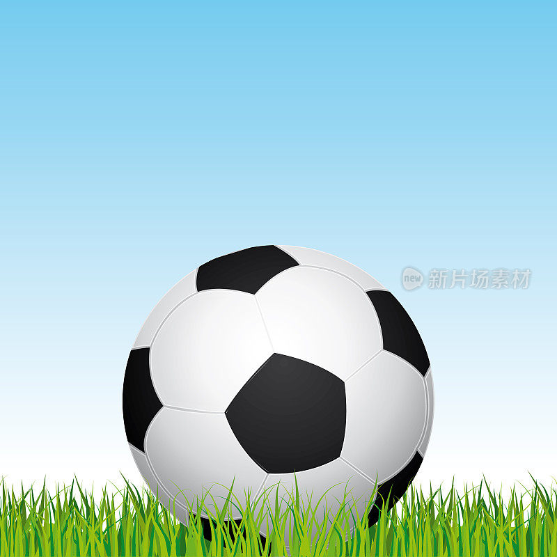 足球。足球场的草地和蓝天为背景。矢量插图。