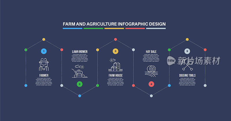与农场和农业关键字和图标的信息图表设计模板
