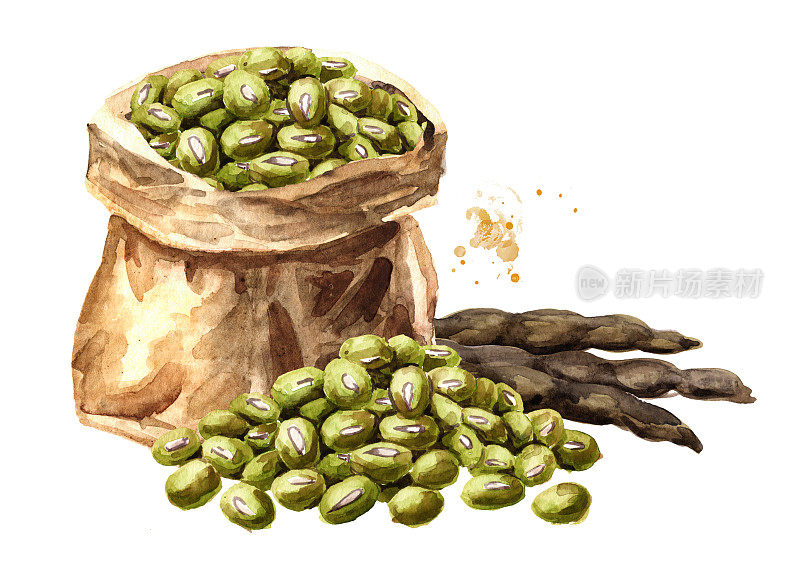 纸袋装的生绿豆和干豆荚。手绘水彩插图，孤立的白色背景