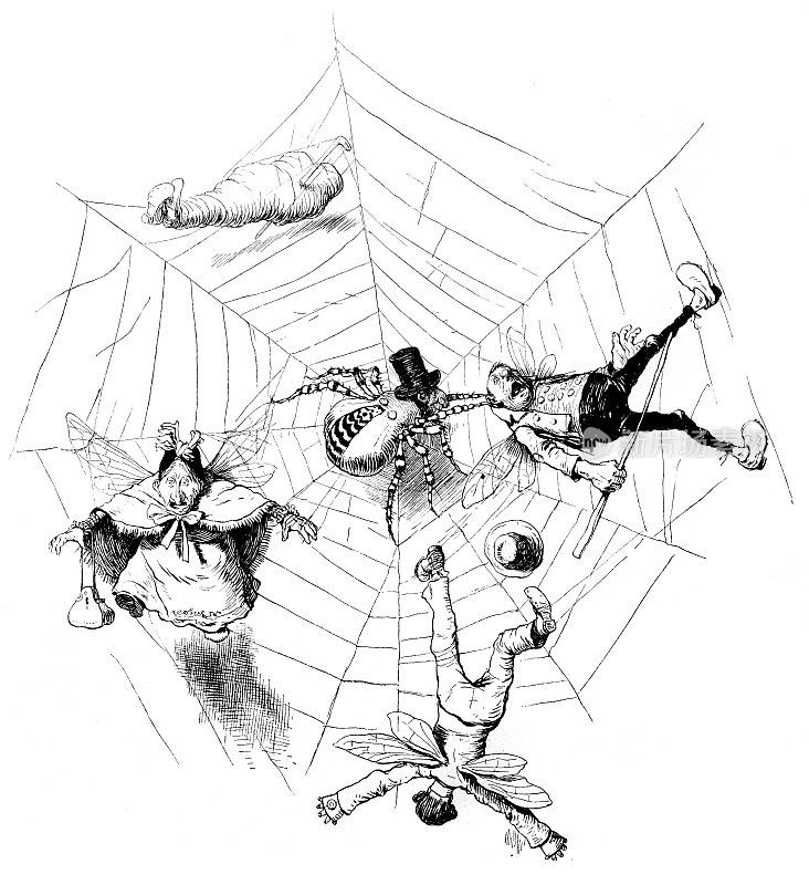 一个蜘蛛和它的受害者的童话场景