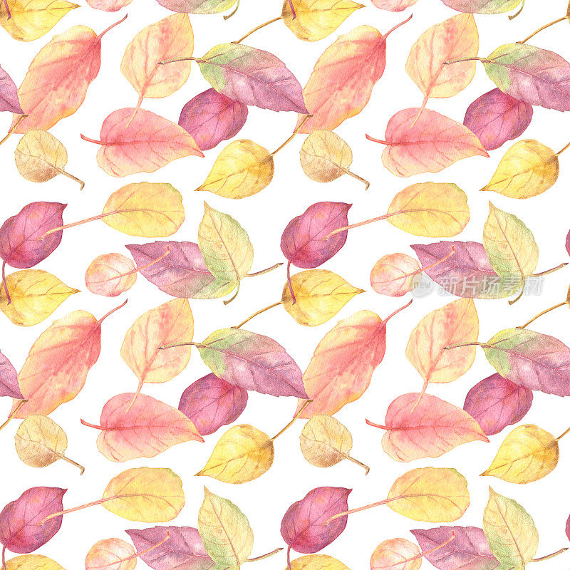 秋叶紫黄无缝图案。水彩插图。完美的秋季壁纸，织物，家庭装饰和文具。