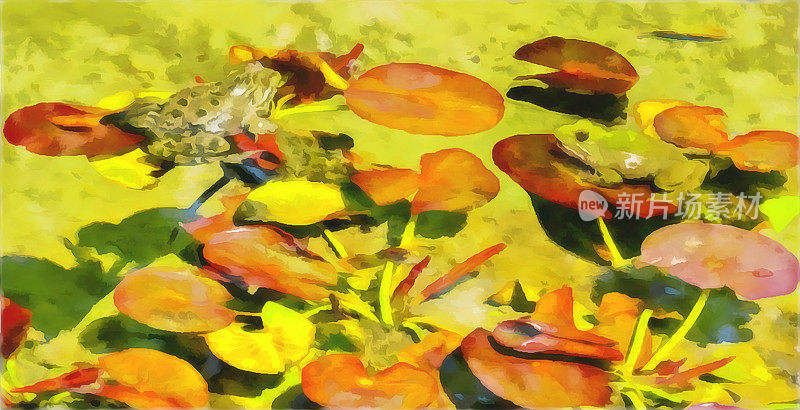 水彩画风格的数码艺术作品。湖面上，大叶子和百合花，青蛙或蟾蜍，浮在水面上。抽象的夏季水彩景观。