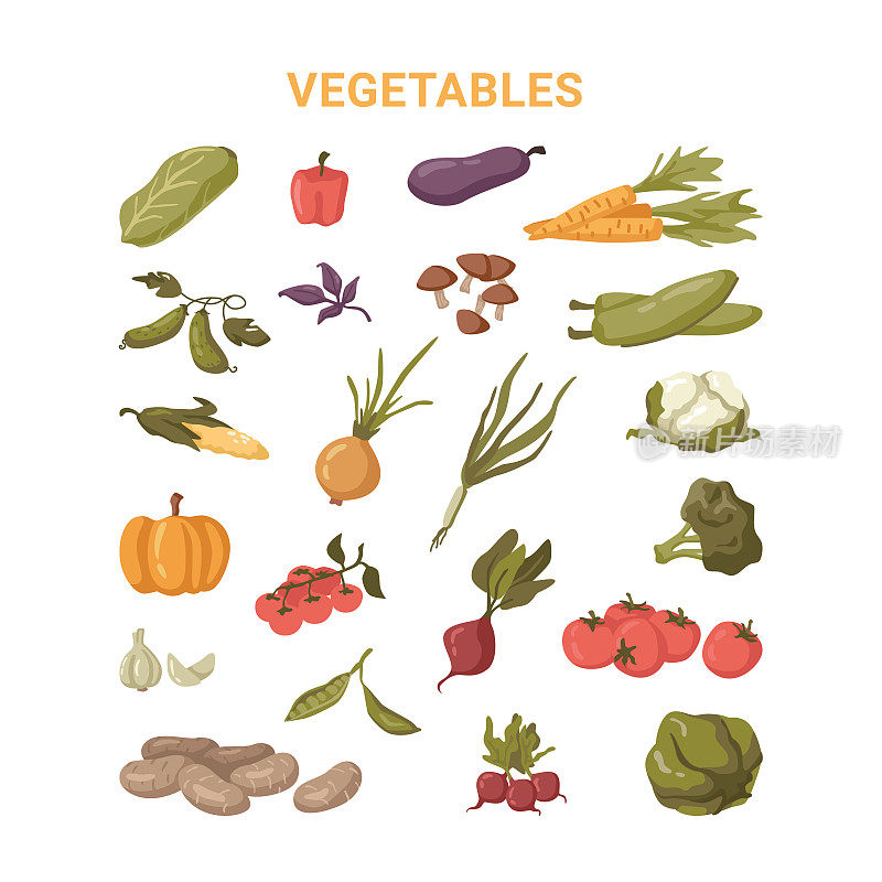 一套成熟的蔬菜，孤立的杂货店食品。矢量在平坦的风格，保加利亚灯心椒，蘑菇和红色。茄子茄子和洋葱，西红柿和卷心菜，大蒜，胡萝卜和土豆