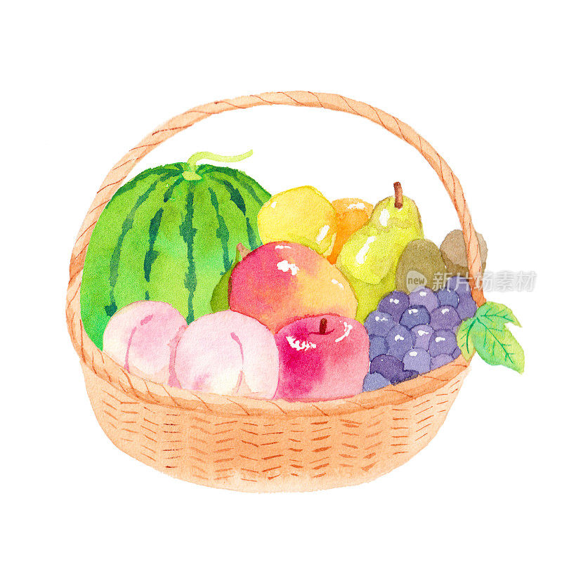 篮子的水果。白色背景的水彩画。