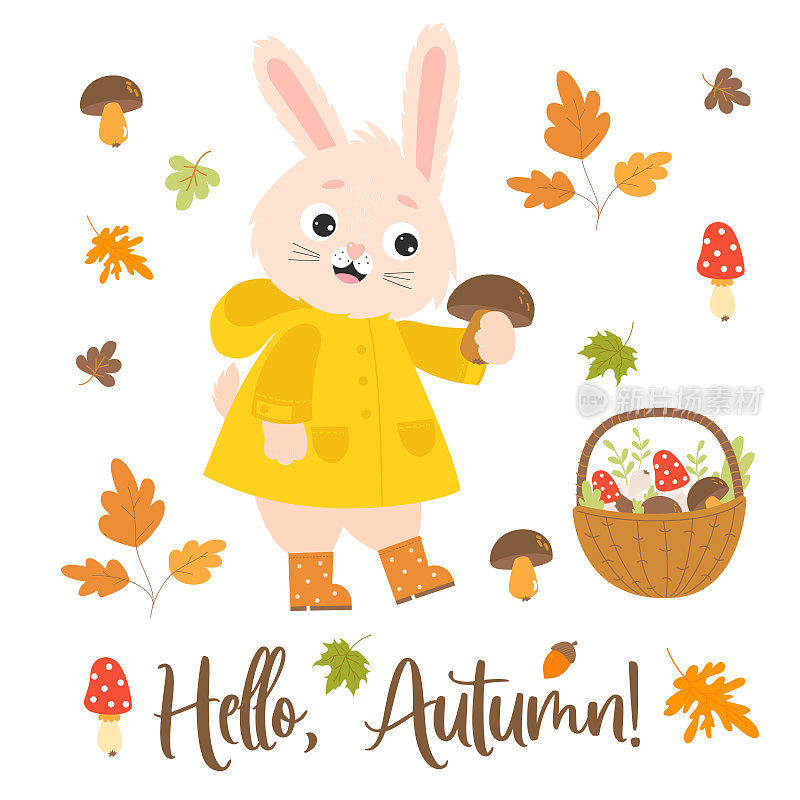 秋天可爱的小兔子穿着雨衣和胶靴采蘑菇。柳条篮子，蘑菇和秋天的叶子。矢量插图。孤立的元素。秋季设计的兔子角色。